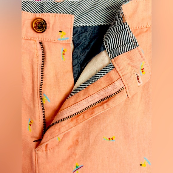 Jachs NY Men’sPink Surferboard Brushed Cotton Twill Bleeker Short W 34”/I 9” NWT - Picture 5 of 13